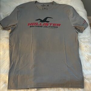 Hollister Gray and Red Men's Tee
